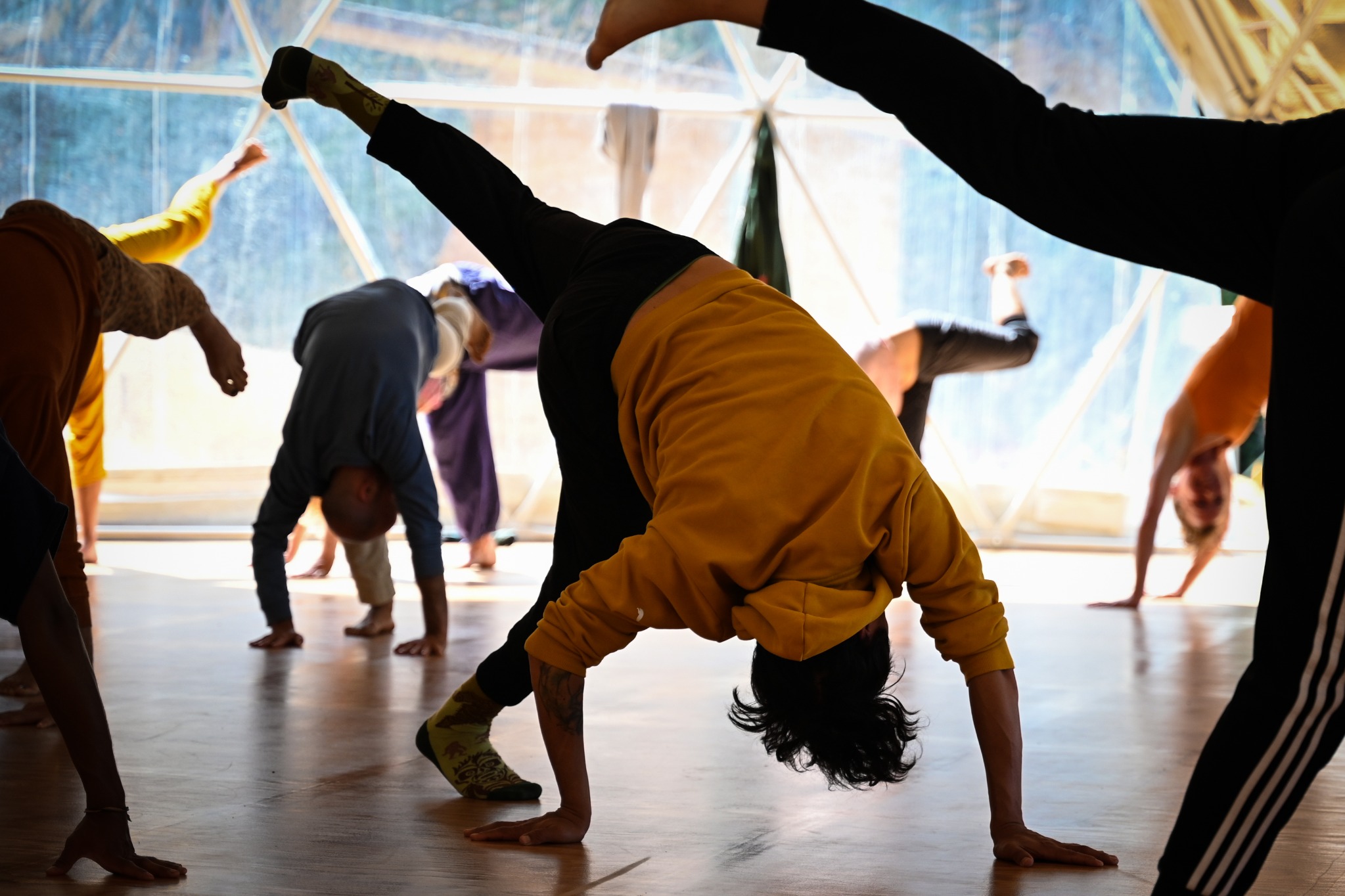 Experienced dancers exploring expressive movement